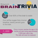 Brain Trivia Mindrig